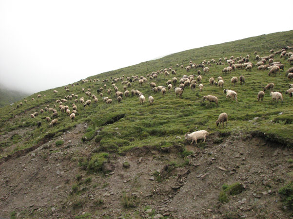 Gyantse 026